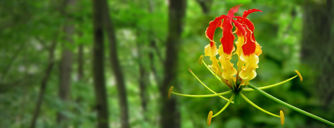 நினைவு வணக்கம் – ஜூன் 30 | JUNE 30